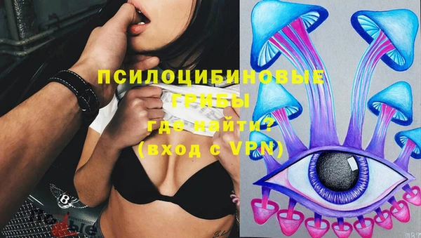 a pvp Лиски