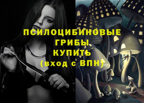 синтетический гашиш Ельня