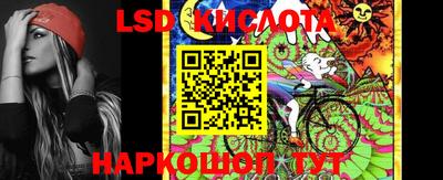 прущие грибы Донецк