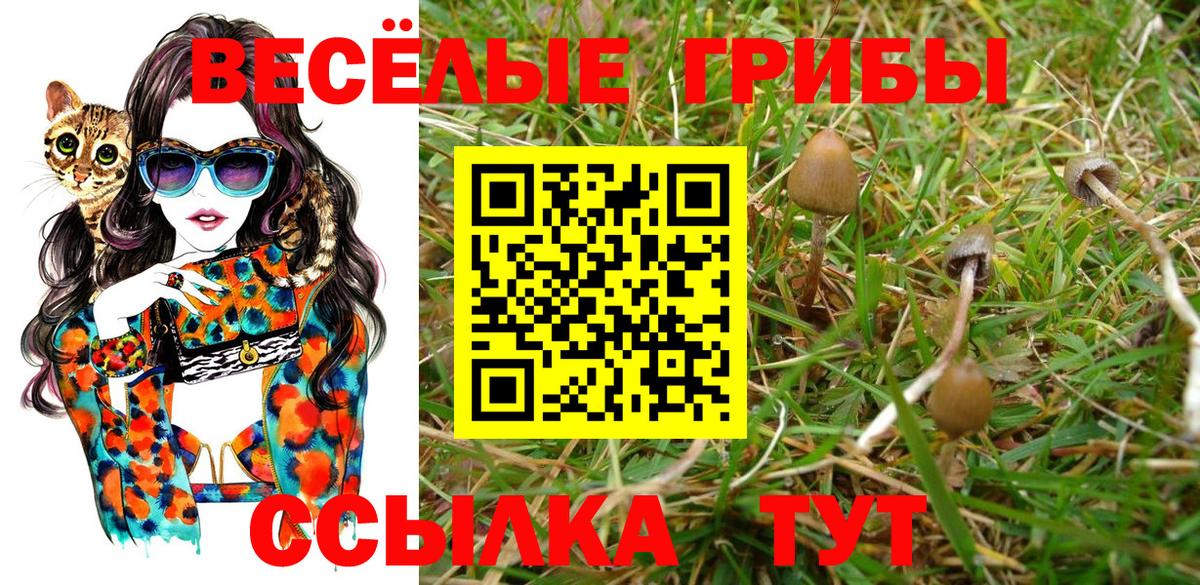 Галлюциногенные грибы MAGIC MUSHROOMS Новосибирск