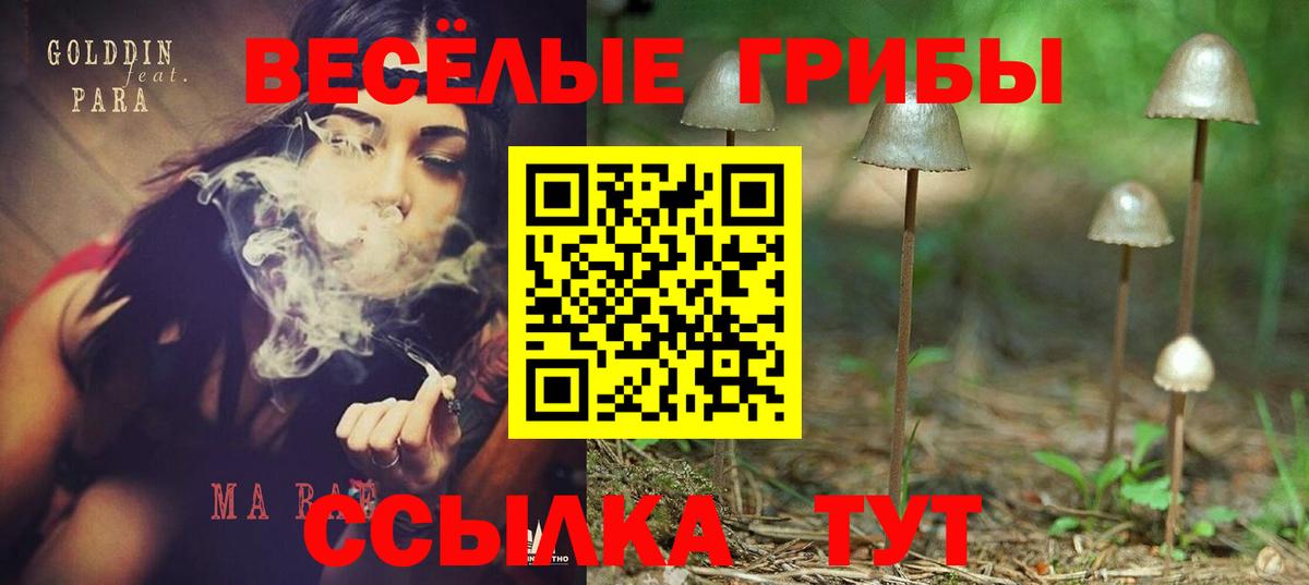 Новосибирск  Псилоцибиновые грибы Magic Shrooms  Вход с VPN 