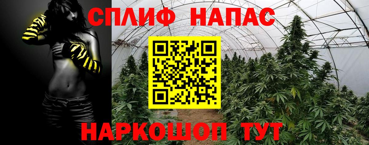 Каннабис планчик  Вход с VPN  Шишки марихуана OG Kush  Канабис сатива  Новосибирск 